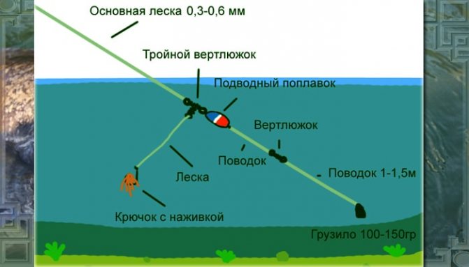 Донная снасть