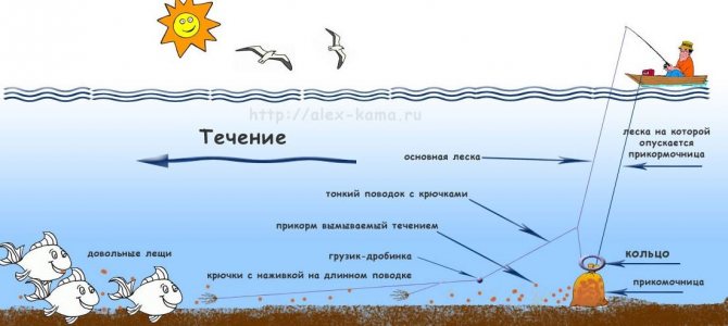 Ловля леща на кольцо