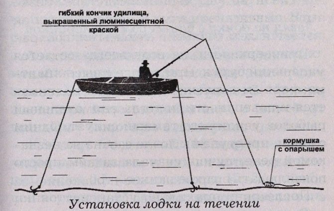 Ловля сазана