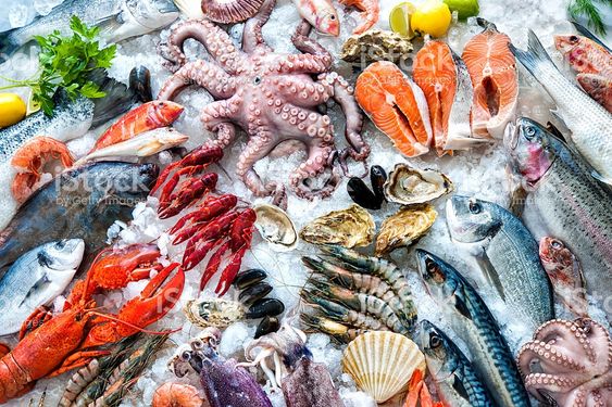 Морепродукты на льду Стоковые фото Стоковая фотография