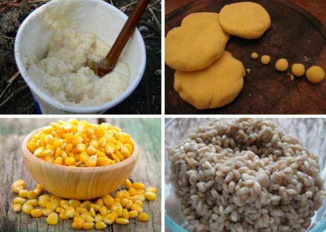 Растительные насадки на карася