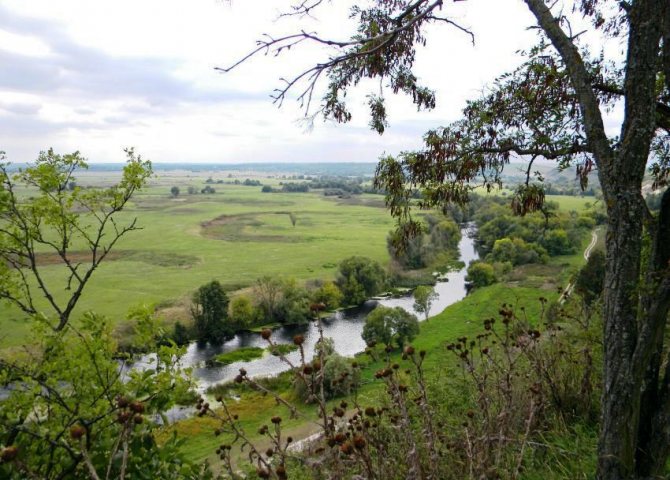 река псел