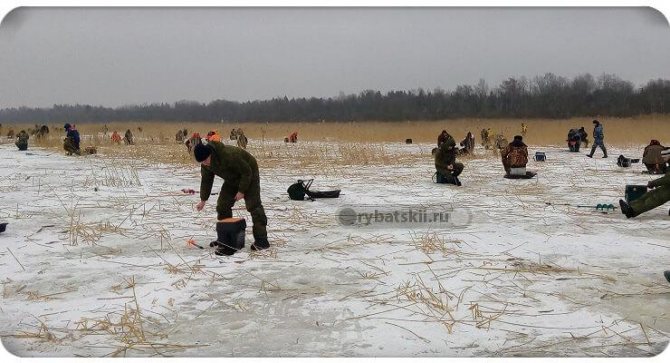 Рыбаки на зимней рыбалке