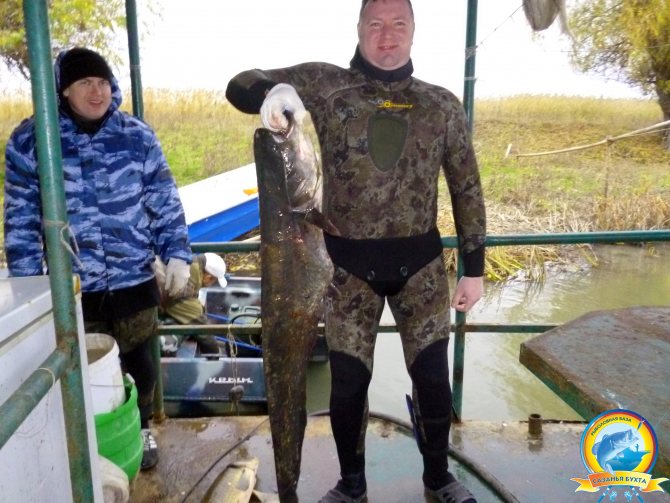 Рыбалка на сома